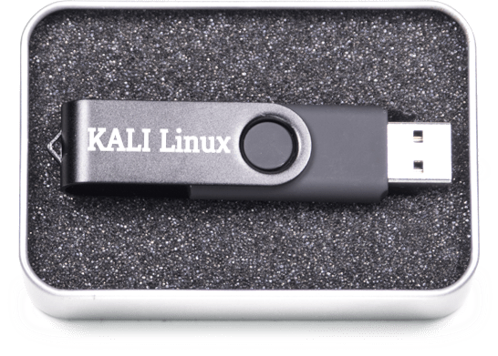 install kali linux on usb