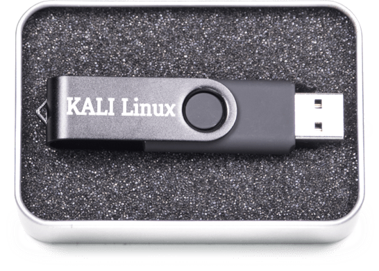 kali linux bootable usb