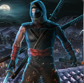 Ninja War Hero
