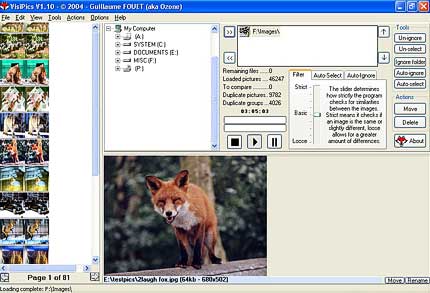 VisiPics Duplicate Image Finder software