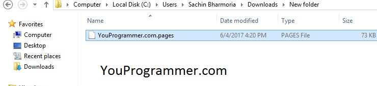 convert pages to word