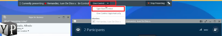 skype share desktop give control